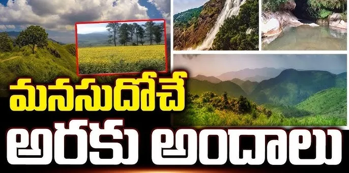 Beauty of nature : చలి పండుగకు అంతా సిద్ధం