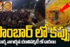 సాంబర్‌ లో కప్ప