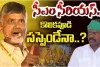 Chief Minister Chandrababu Naidu is also deeply unhappy : వివాదాల కొలికపూడి...