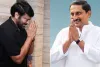 AP POILITICS : మెగా ఫ్యామిలీకా.... నల్లారి వారికా....