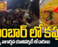 సాంబర్‌ లో కప్ప