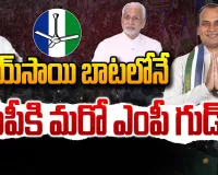 AP Politics  : విజయసాయిరెడ్డి బాటలో అయోధ్య రామిరెడ్డి