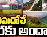 Beauty of nature : చలి పండుగకు అంతా సిద్ధం