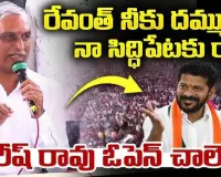 Harish Rao challenge to CM Revanth Reddy : దమ్ముంటే సిద్దిపేటకు రా.. లేదంటే ఇద్దరం కొండారెడ్డి పల్లికి వెళ్దామా..?