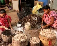 Farmers are scared of snow in January:  శ్రీకాకుళంలో జీడీపప్పు రైతులకు టెన్షన్‌