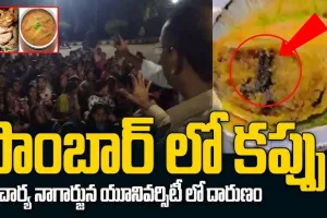 సాంబర్‌ లో కప్ప