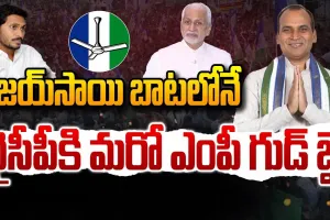 AP Politics  : విజయసాయిరెడ్డి బాటలో అయోధ్య రామిరెడ్డి