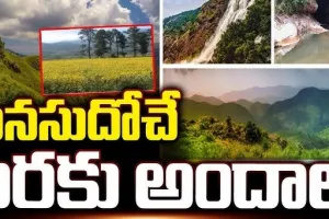 Beauty of nature : చలి పండుగకు అంతా సిద్ధం