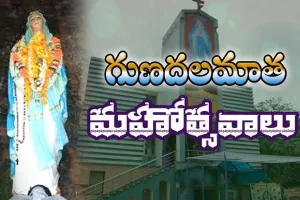 గుణదల మేరీ మాత ఉత్సవాలు ఘనంగా నిర్వహిస్తాము :  ఎంపి కేశినేని శివనాథ్‌ (చిన్ని)