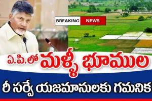  ANDRA PRADESH Government lands : ఏపీలో భూముల రీ సర్వే