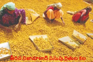 Turmeric Board : పసుపు బోర్డు వచ్చేసిందోచ్