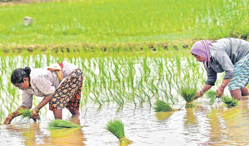 TS Agriculture: తెలంగాణ రైతులకు సీఎం రేవంత్ గుడ్ న్యూస్!