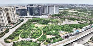 Raidurgam Land Auction : ఎకరాకు రూ.269 కోట్లు! raidurga lands
